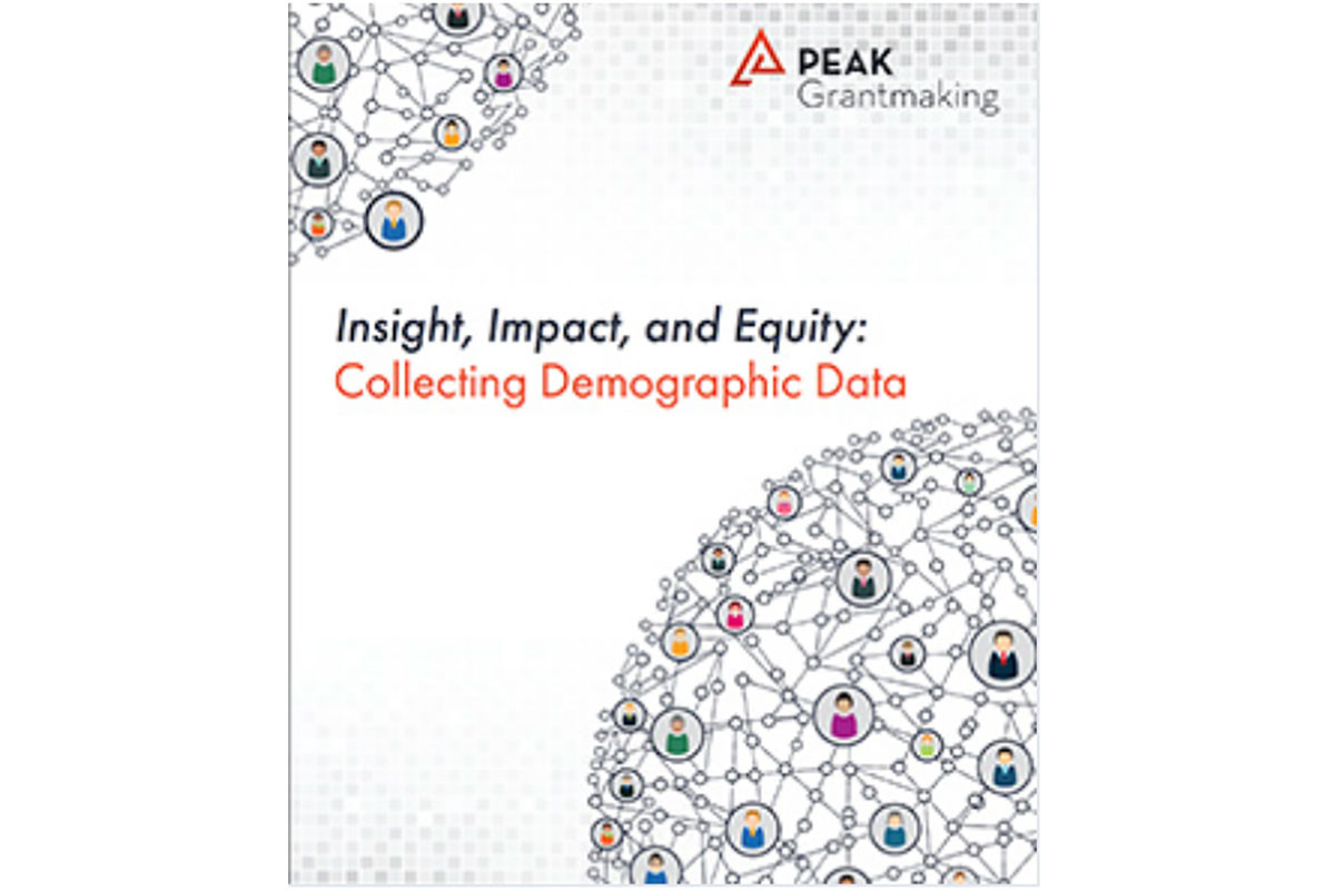 Insight, Impact, and Equity: Collecting Demographic Data