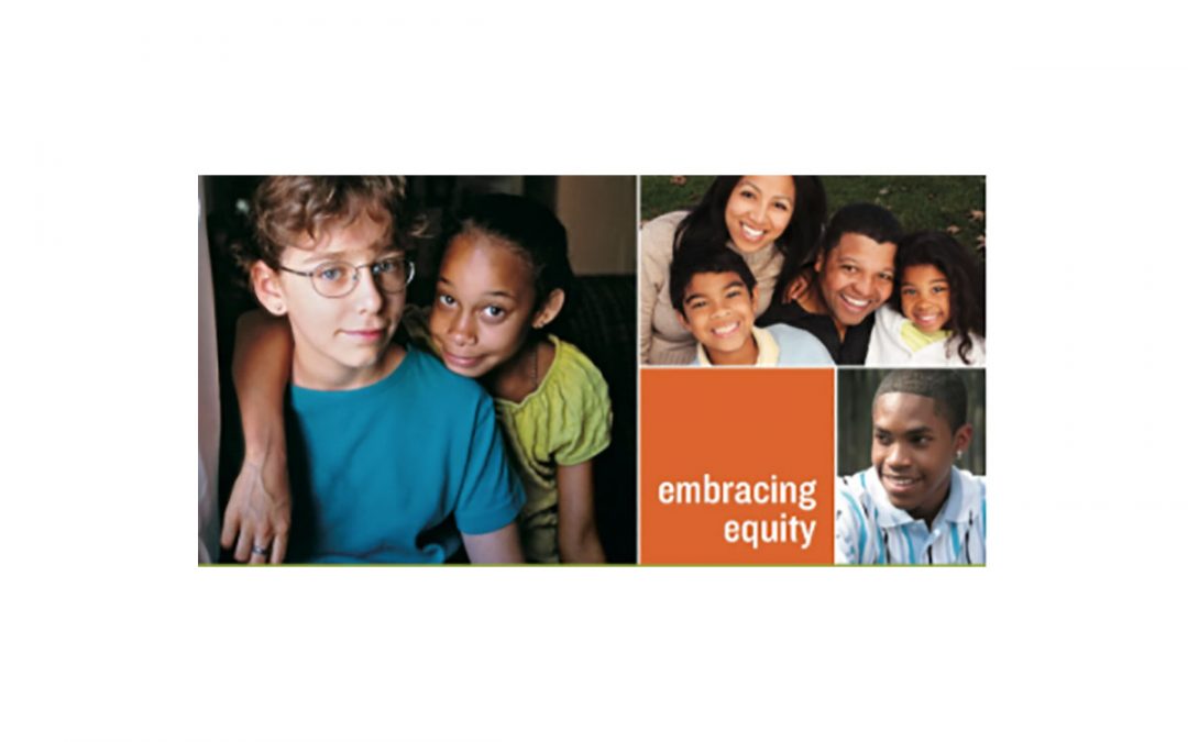 Race Equity and Inclusion Action Guide: 7 Steps to Advance and Embed Race Equity and Inclusion Within Your Organization