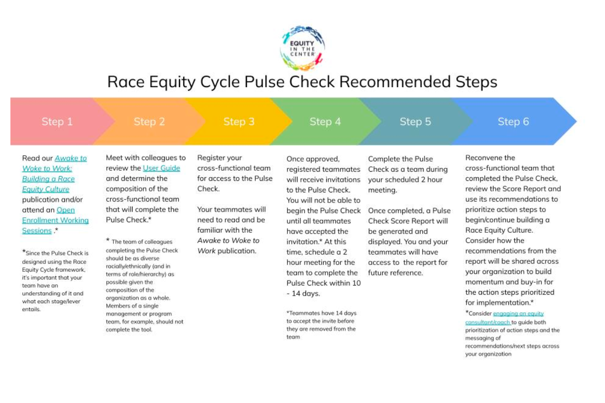 Outline of the race equity pulse check